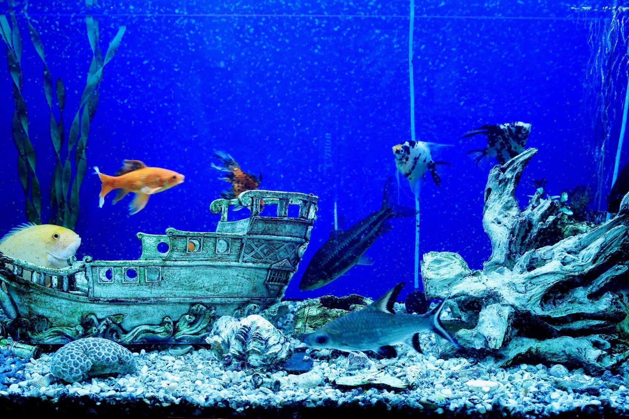 Sea Princess Motel Ejlat Zewnętrze zdjęcie